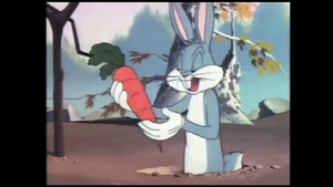 Eh, what's up, doc? - Ingredient Spotlight - Carrots