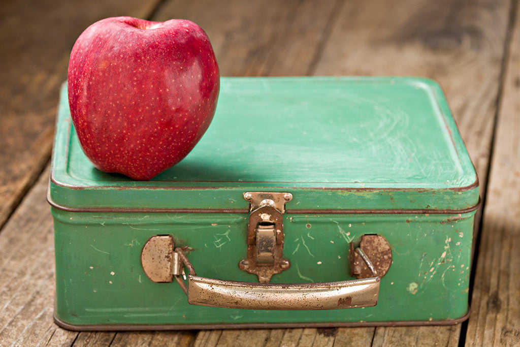 Lunch Bags We Love