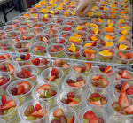 Catering Dessert